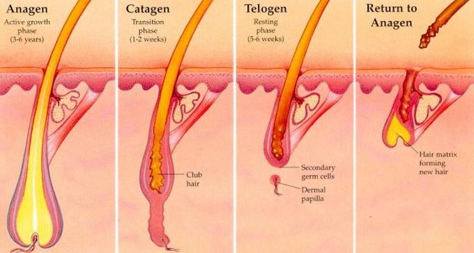 laser-treatment-process.jpg