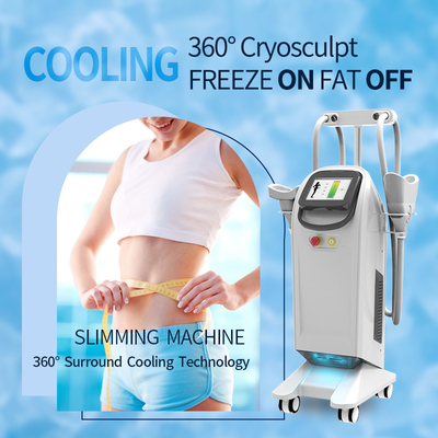 Machine de Cryo 360 de perte de poids