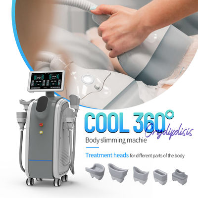 Révolutionnez votre perte de poids avec la machine de cryolipolyse