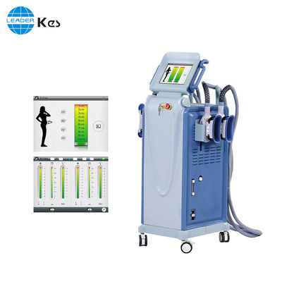 Perte de poids machine de beauté de cryolipolyse avec double plaque de refroidissement