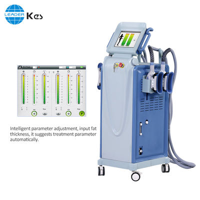 Gel de Cryolipolysis de sécurité gros amincissant la machine pour la réduction/perte de poids de cellulites