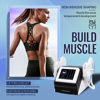 2 Poignées OEM stimulation musculaire machine d'amincissement EMS fabriqué en Chine
